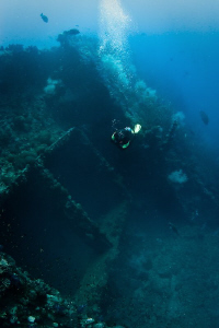 Diver Mark glides over the cargo hold of the wreck of SS ... by Mick Tait 